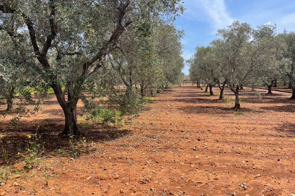 138557_SantaCaterina_IMG_09_0000