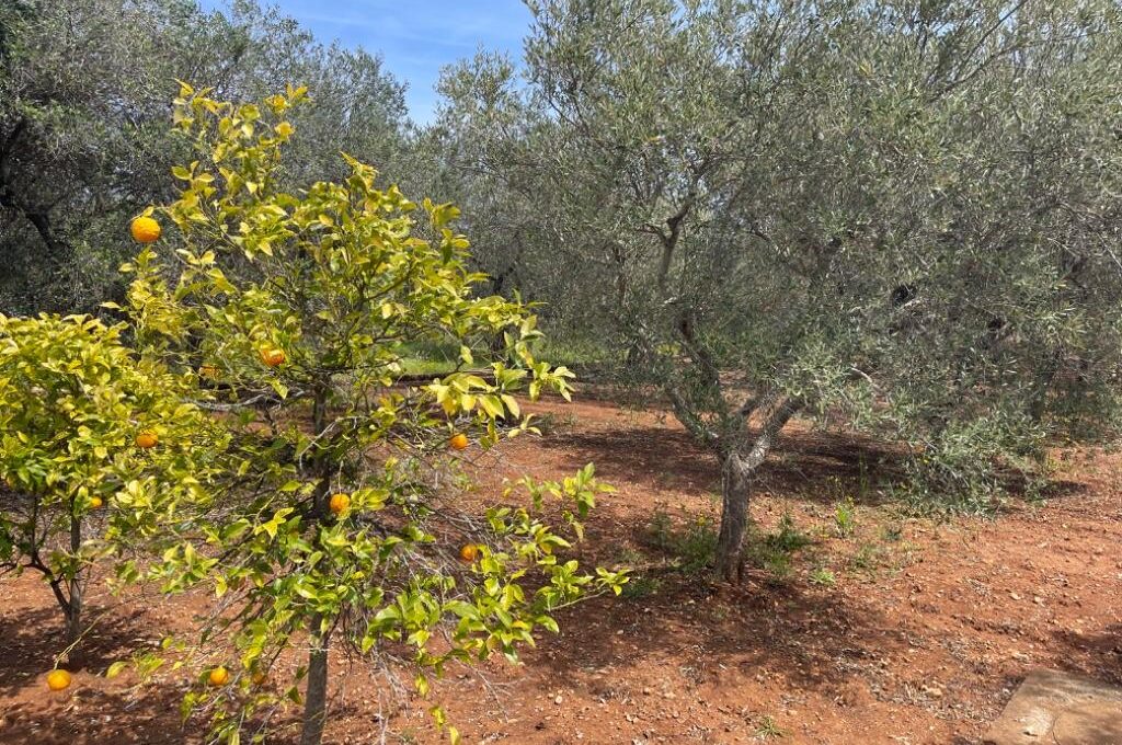 138557_SantaCaterina_IMG_10_0000