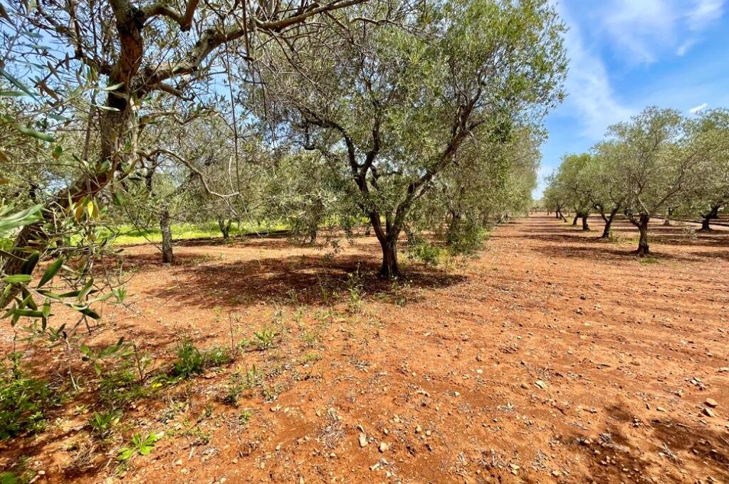 138557_SantaCaterina_IMG_11_0000