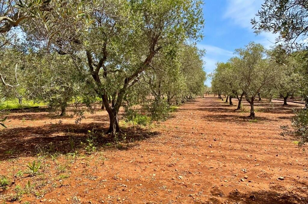 138557_SantaCaterina_IMG_15_0000