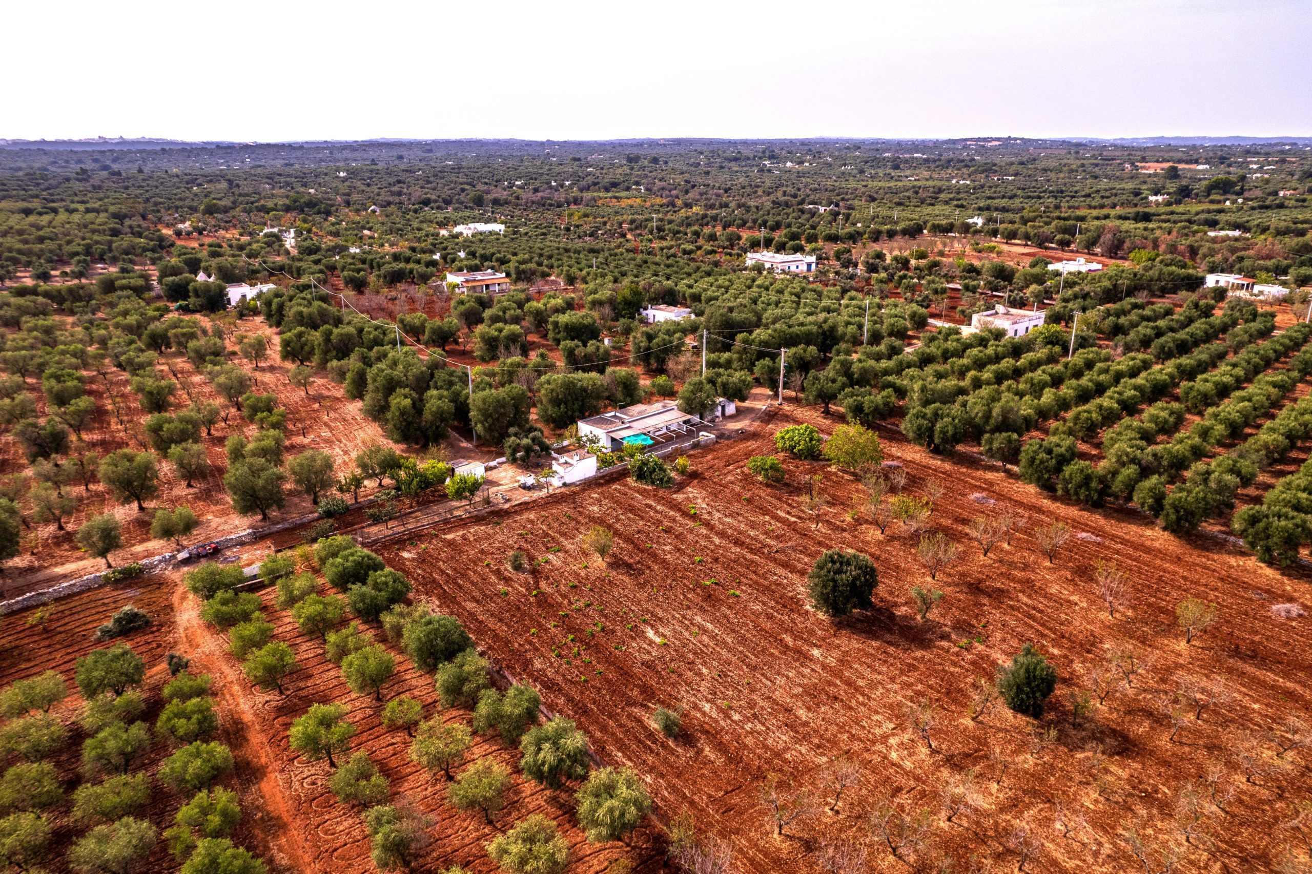 IMPRESSIVE COUNTRY PROPERTY NEAR OSTUNI