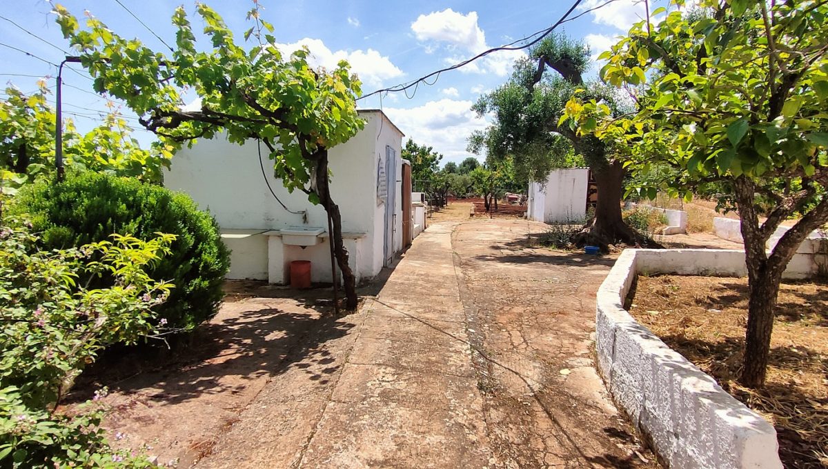 IMG20230609121013