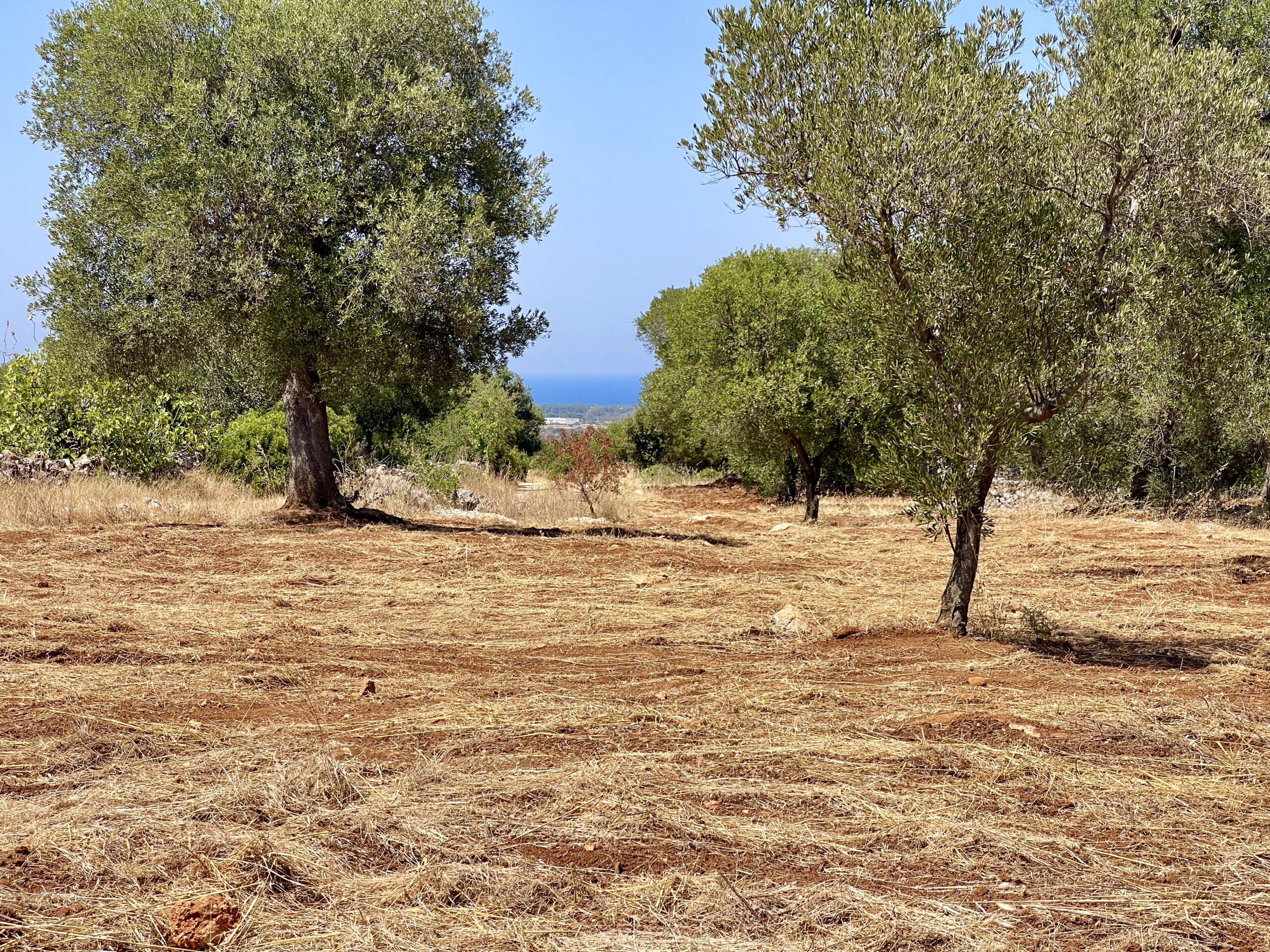 Stunning Sea View Land Carovigno