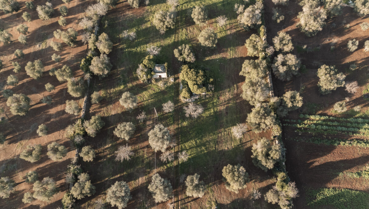 DJI_20241218145848_0574_D