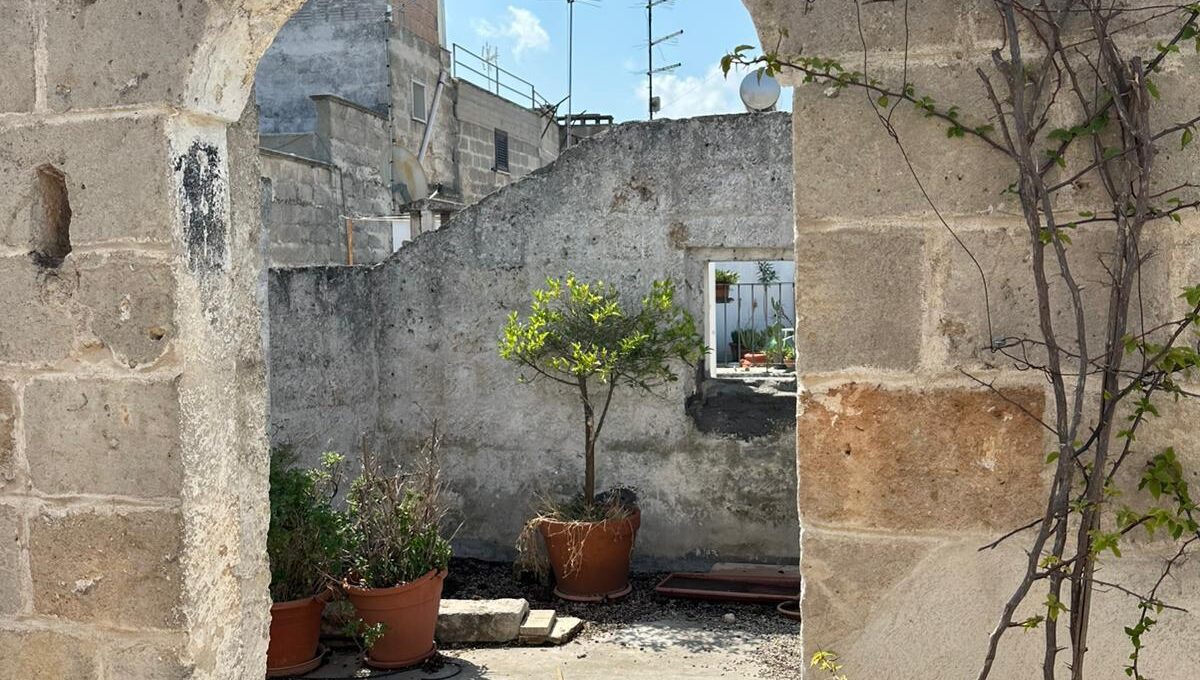 WhatsApp Image 2025-06-20 at 11.23.18(1)