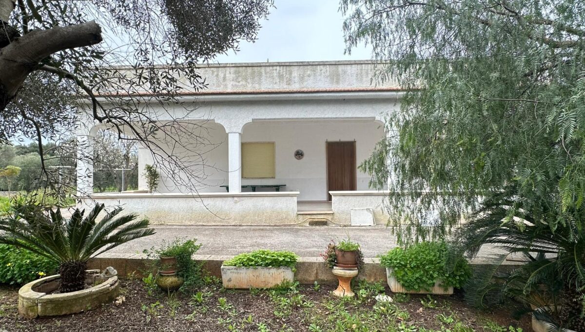 WhatsApp Image 2026-02-11 at 11.59.52