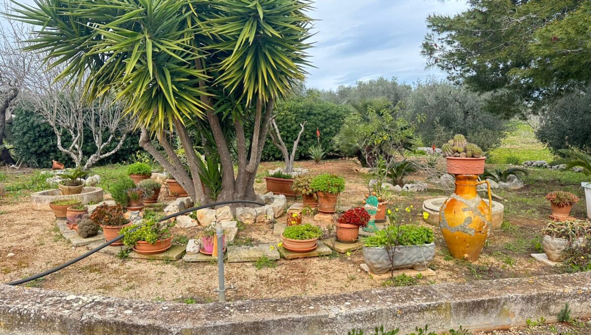 WhatsApp Image 2026-02-11 at 11.59.54