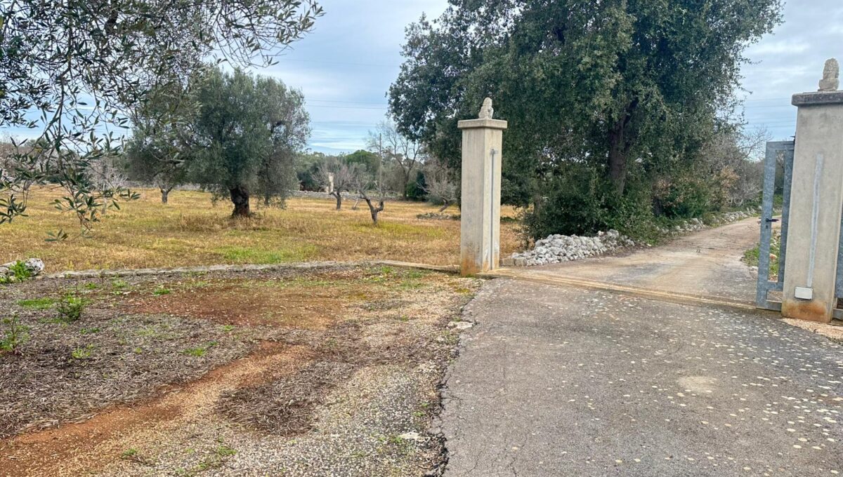 WhatsApp Image 2026-02-11 at 12.00.38