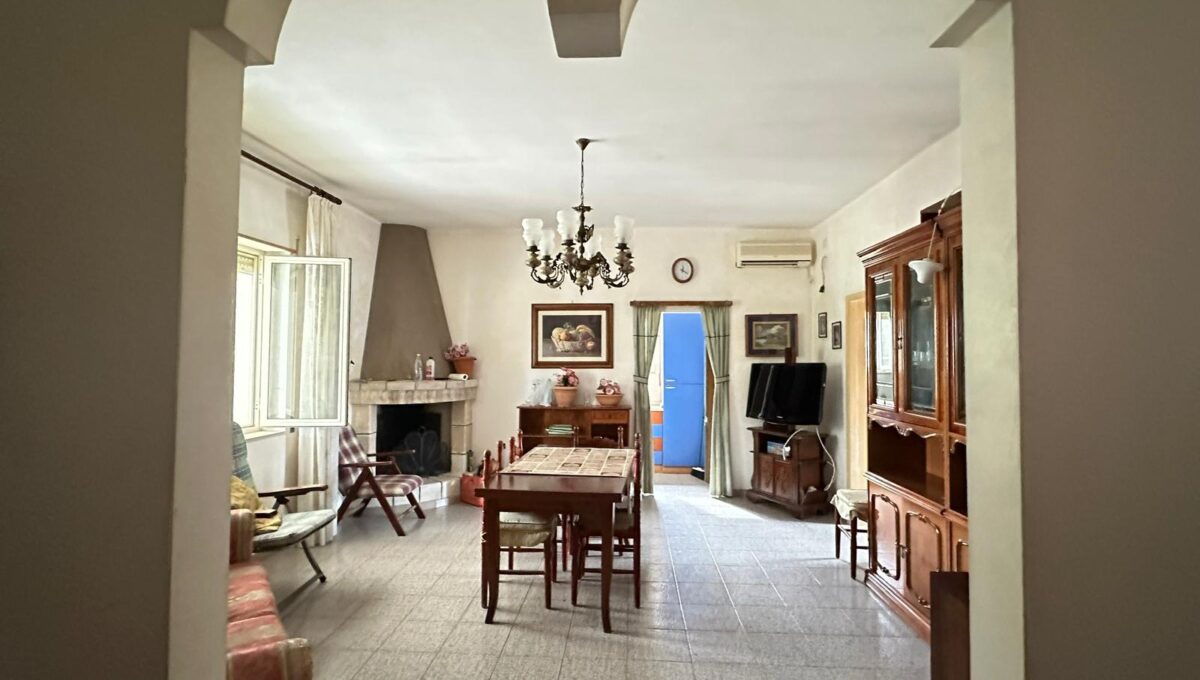 WhatsApp Image 2026-02-11 at 12.02.01