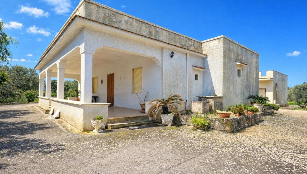 WhatsApp Image 2026-02-13 at 18.19.08