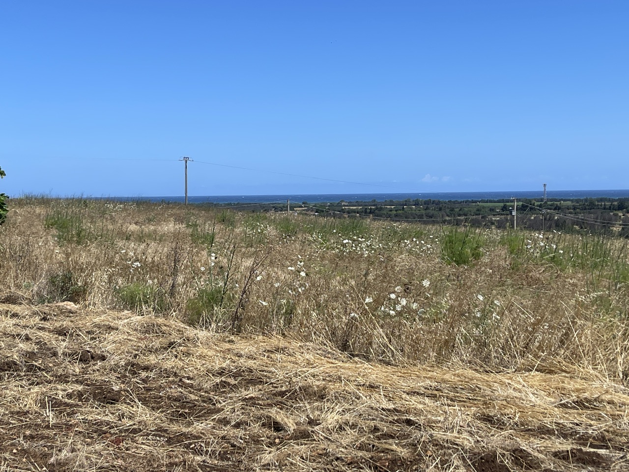 Incredible Sea view land with building project presented